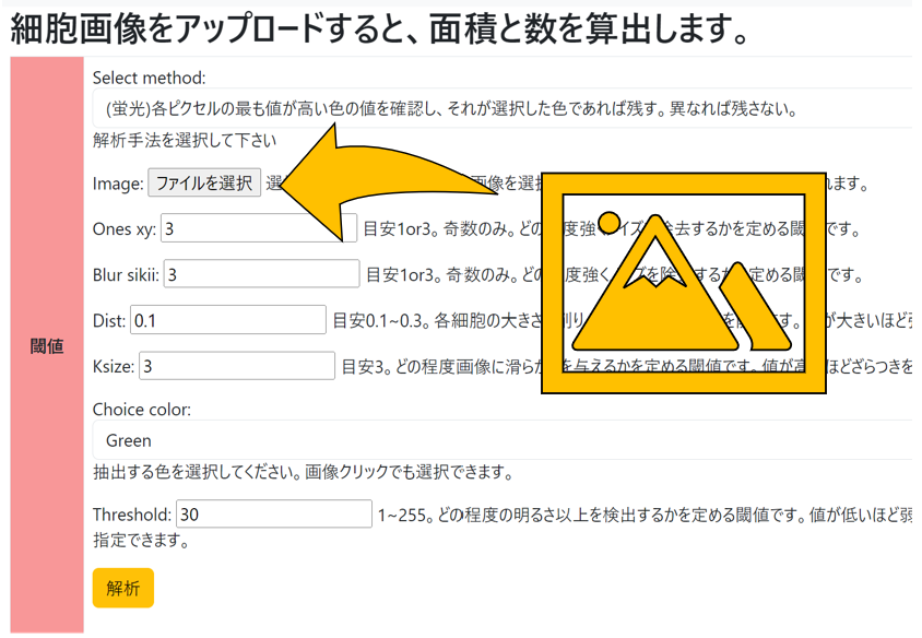 もっと「手軽に」「簡単に」細胞画像解析を